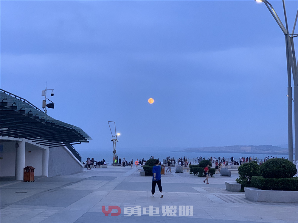 1569208559156291.jpg IMG_2672.jpg